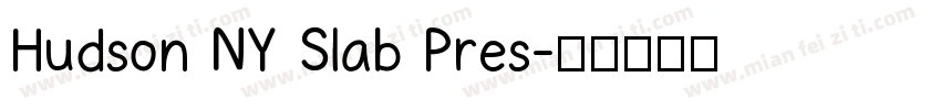Hudson NY Slab Pres字体转换